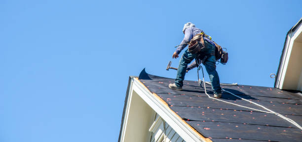 Best Storm Damage Roof Repair  in Grafton, WV